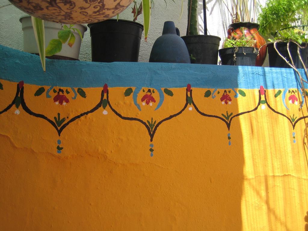 Bed and Breakfast Casa Annette Cortelazor Exterior foto